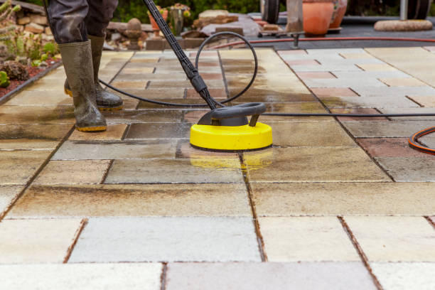 Best Animal Enclosure Cleaning  in Ellis, KS
